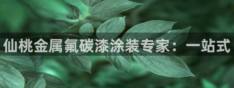 鲁能钓鱼台美高梅公馆房价