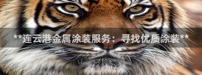 美高梅飞鱼表演时间