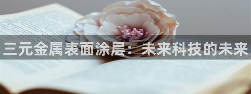 美高梅mgm集团4688打不开