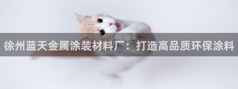 美高梅大酒店是多少星级的