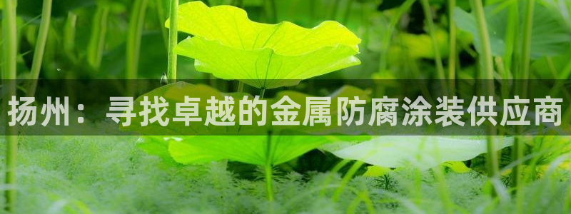 美高梅酒店投资多少钱