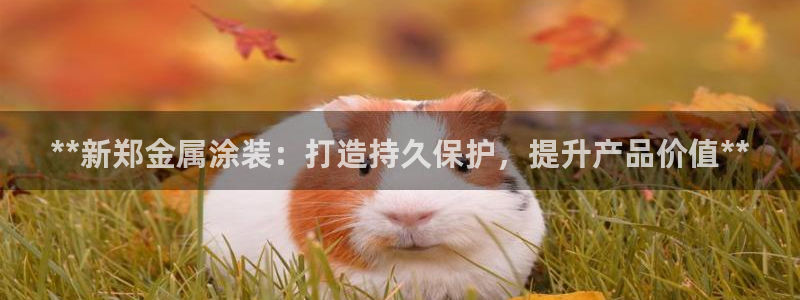 美高梅大酒店哪些省份有