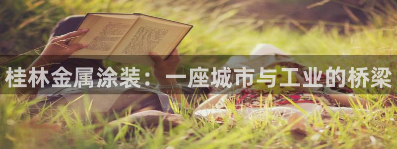 为什么我的美高梅网页上不了