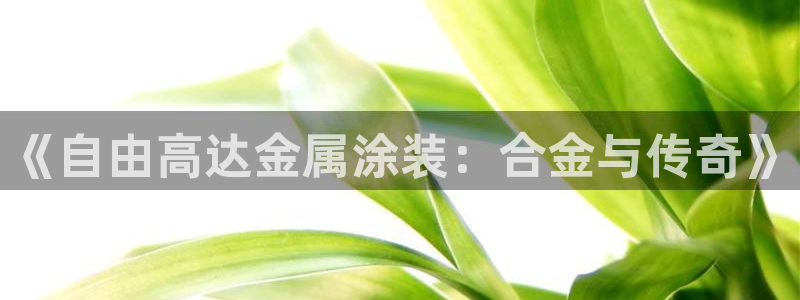 美高梅大酒店是多少星级的