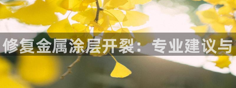 美狮美高梅穿梭巴士时刻表