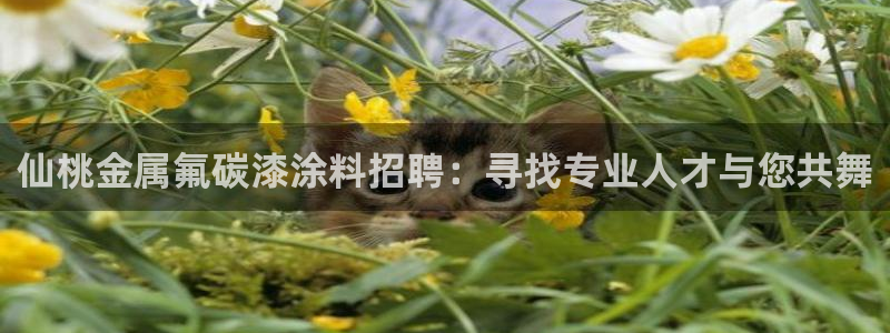 美狮美高梅酒店美艺大堂