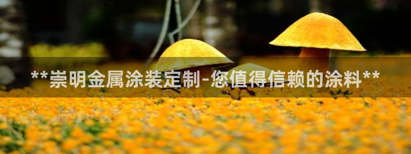 美高梅水疗怎么样