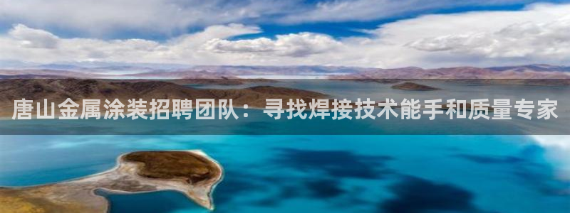 美高梅的狮子是纯金的吗：唐山金属涂装招聘