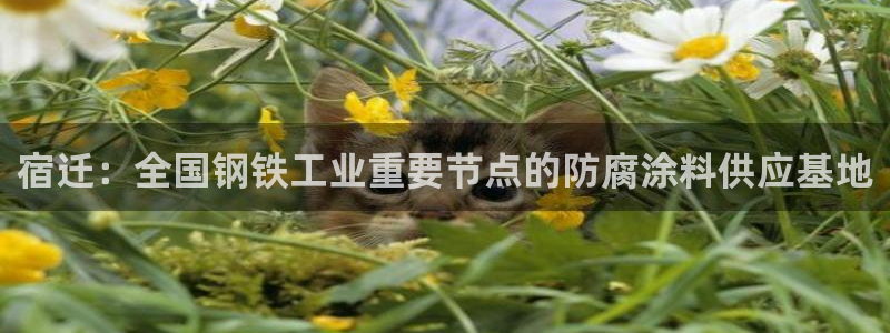 美狮美高梅酒店几点退房