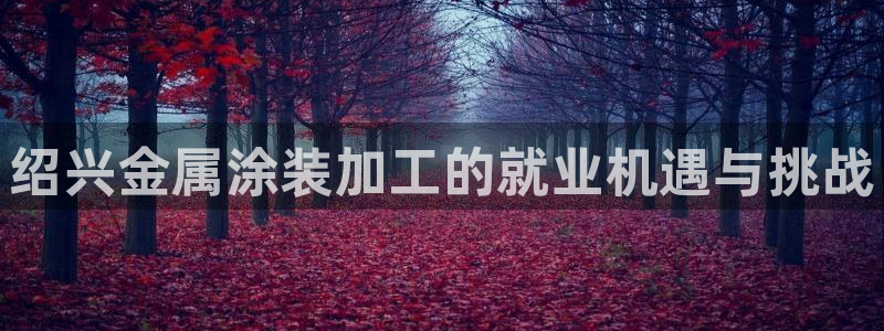 美高梅会员等级怎么升：绍兴金属涂装加工的